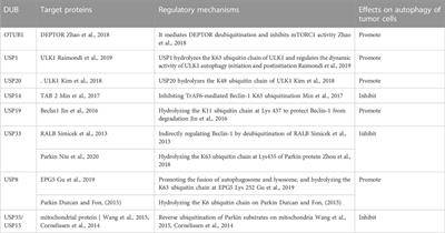 A review of deubiquitinases and thier roles in tumorigenesis and development